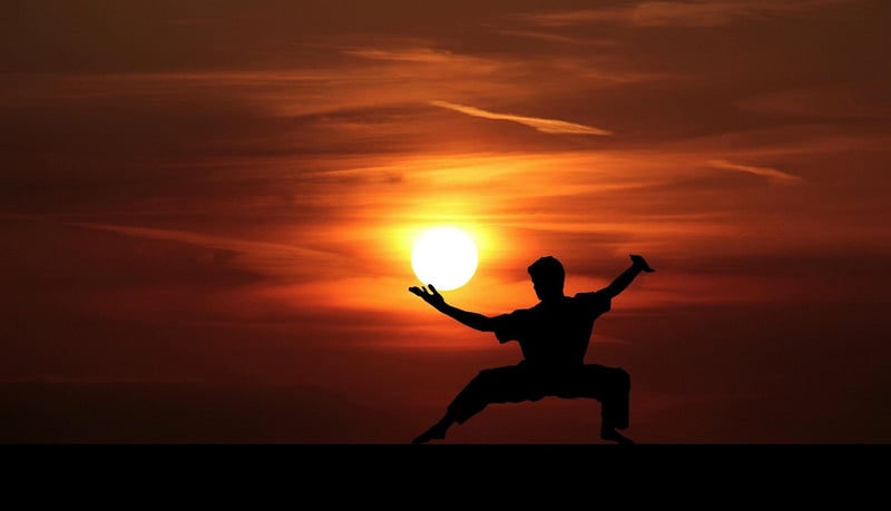 Tai Chi Martial Arts